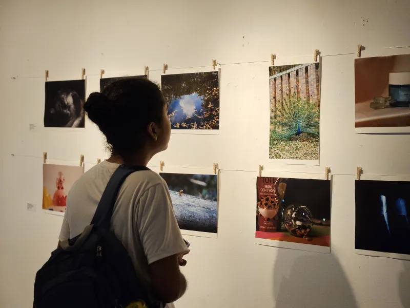 artes-plásticas-exposición-biodiversidad